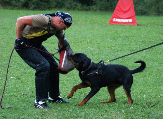 Summer training camp - Jelenec - 2007